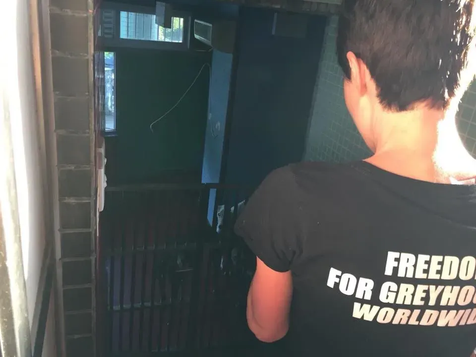 41602575 1894118854005294 1307848448216662016 n