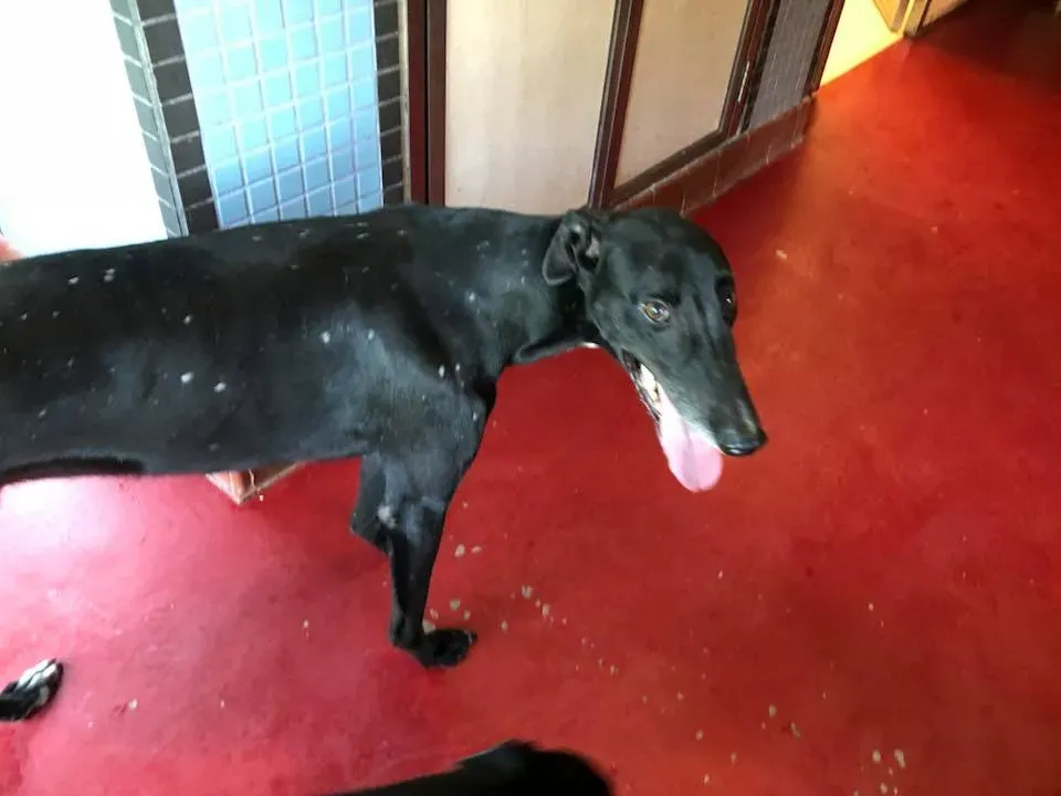 41608659 1894118947338618 7957351643773665280 n