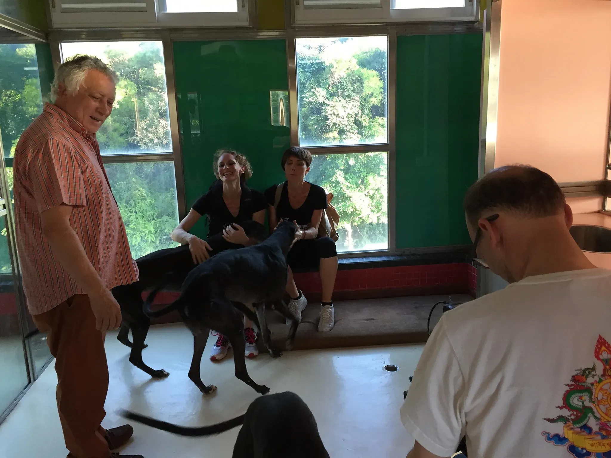 41617493 2192003837755784 6204454217579495424 o 1