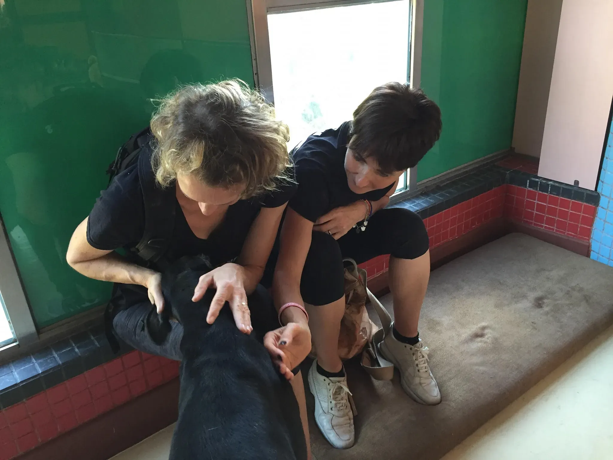 41620950 2192003614422473 5607352720034889728 o