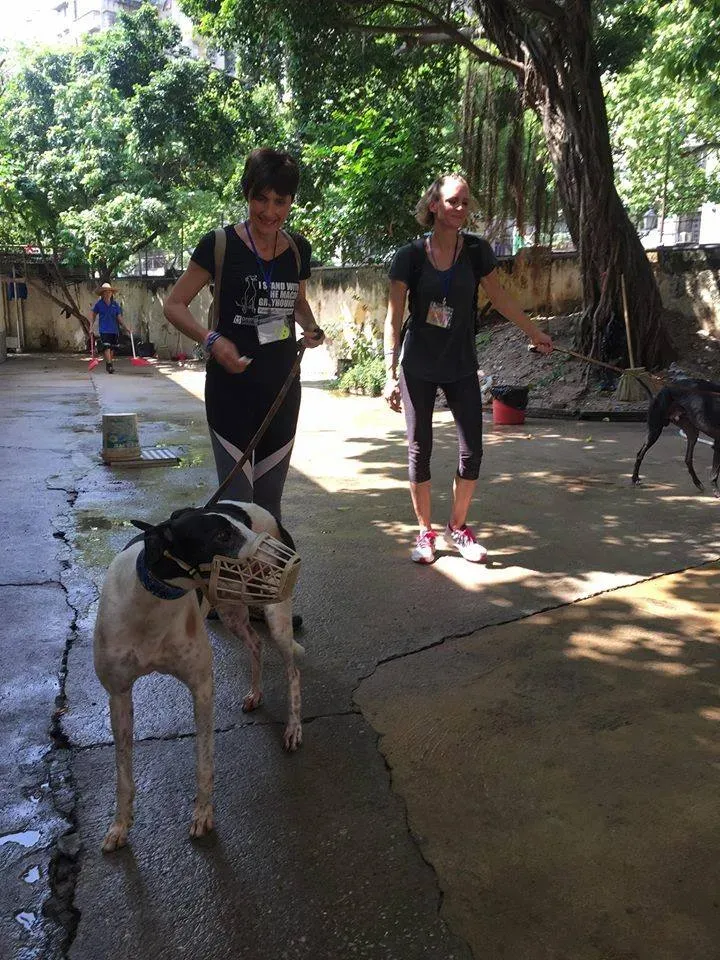 41652939 1895479940535852 5271228218672676864 n