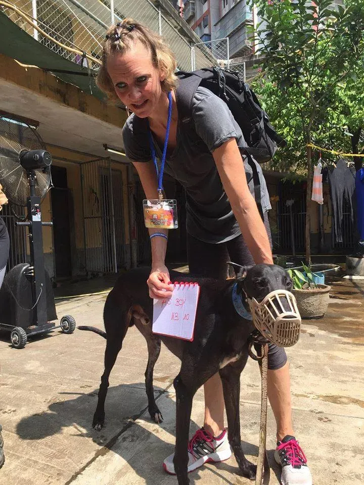 41666418 1895479647202548 5295003645794844672 n