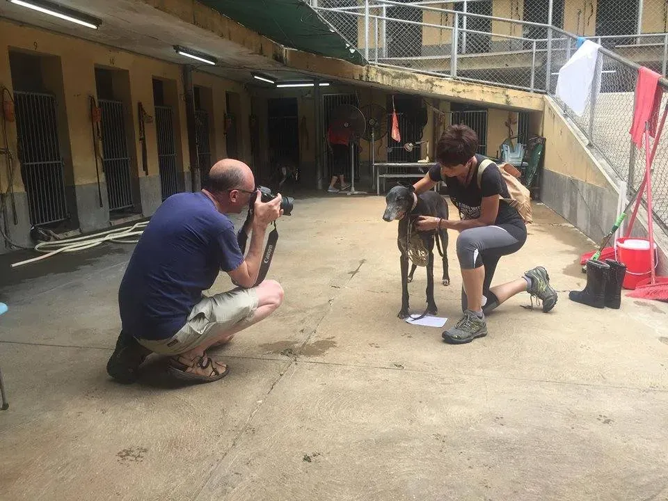 41669911 1895479730535873 8907807909010735104 n