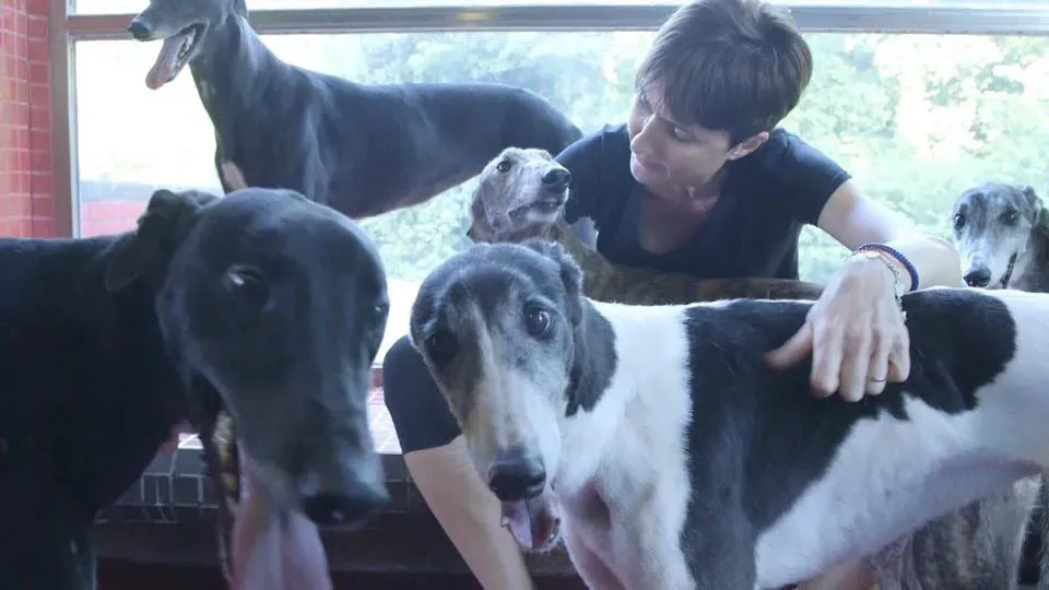 41671508 1894118620671984 8972428711341064192 n