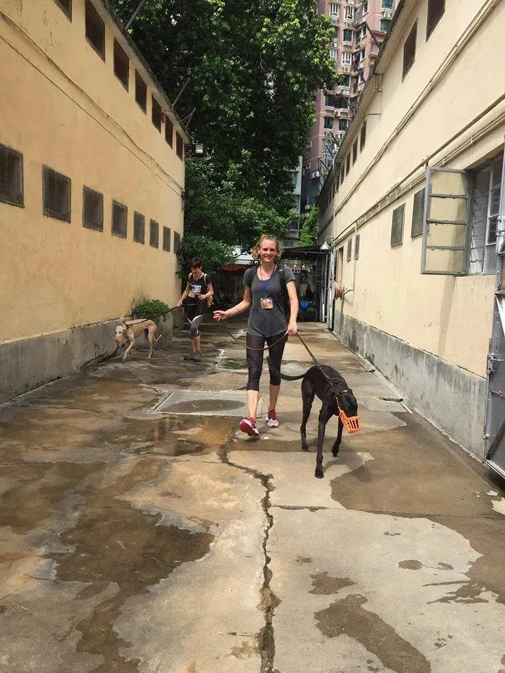 41677493 1895480387202474 3368560223395512320 n