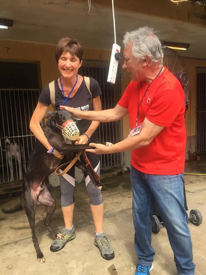 41679983 1895479623869217 7702417692346548224 n