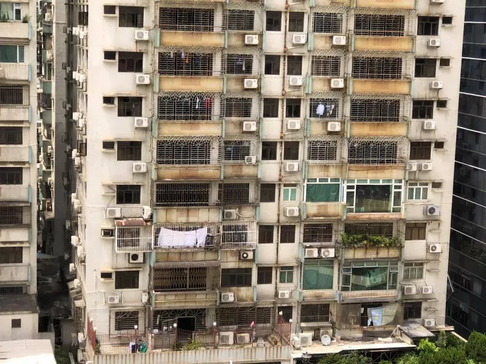 41680200 1894119187338594 2621491971251765248 n