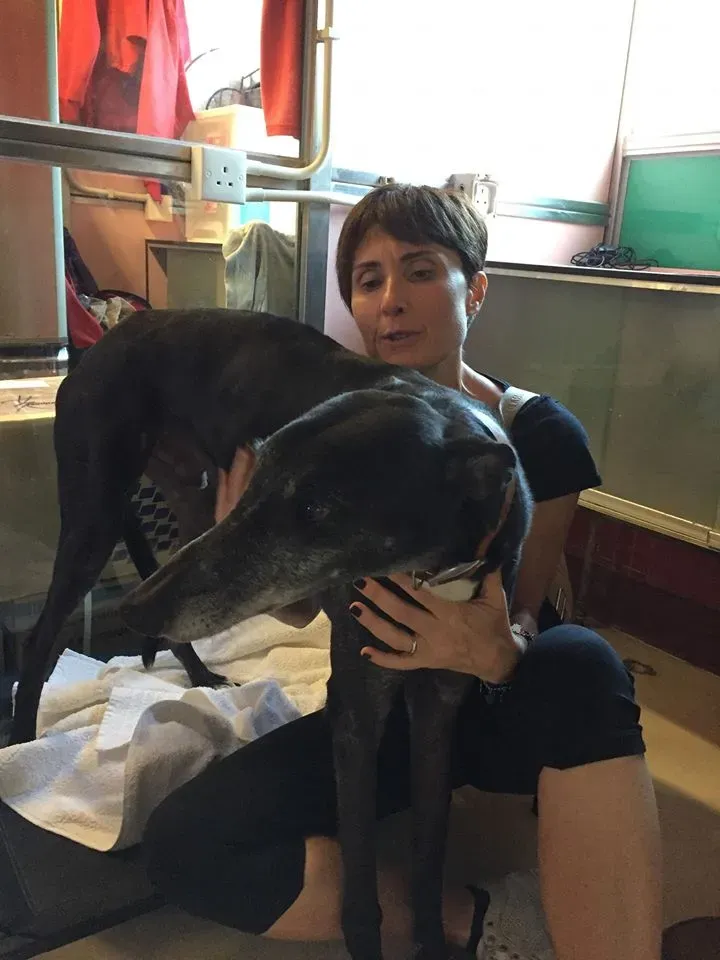 41684350 2192004354422399 3113503315644645376 n 1