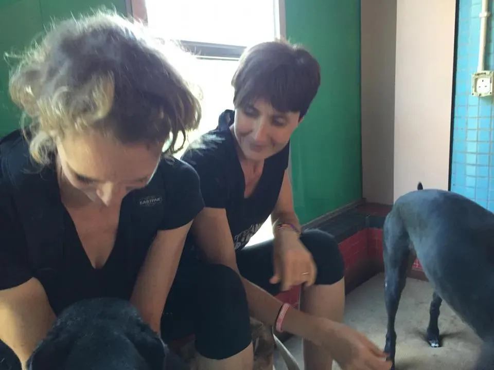 41688030 1894118724005307 3433368213285502976 n