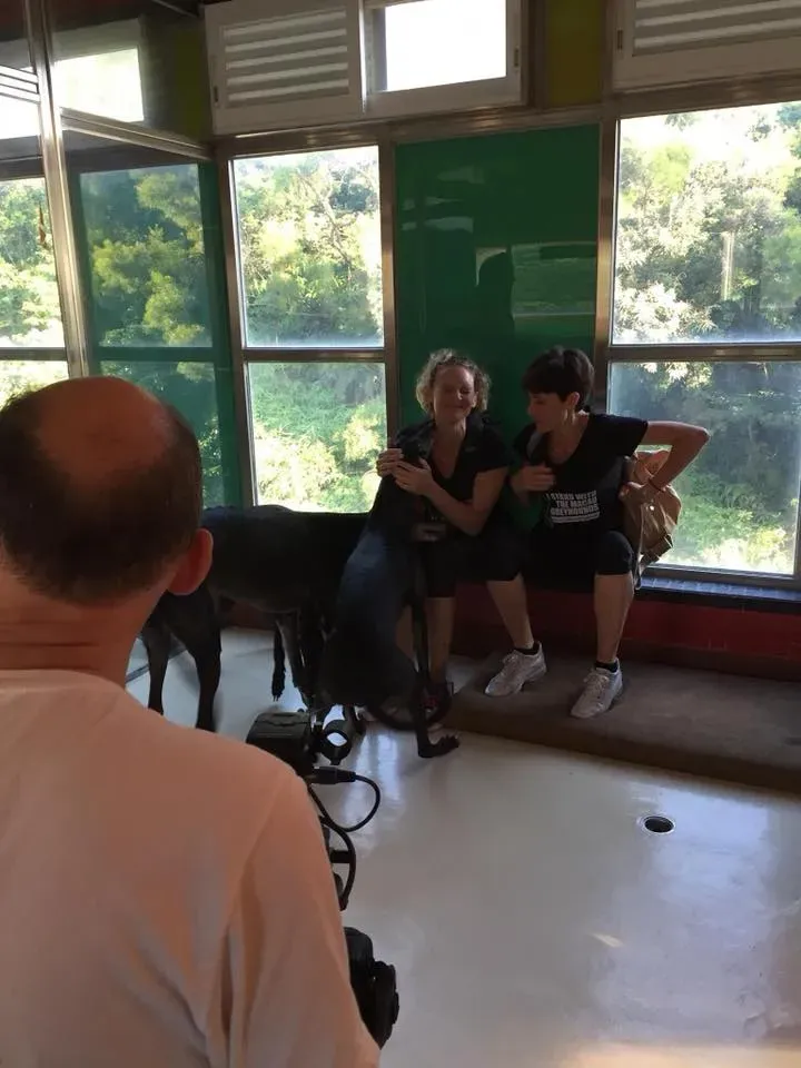 41688108 1894118834005296 3545075175873576960 n