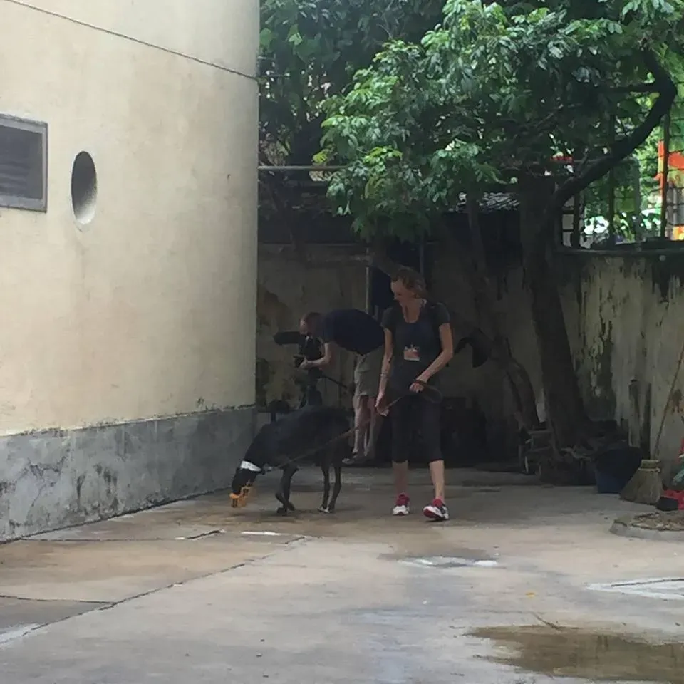 41688243 1895479227202590 5281819221477556224 n