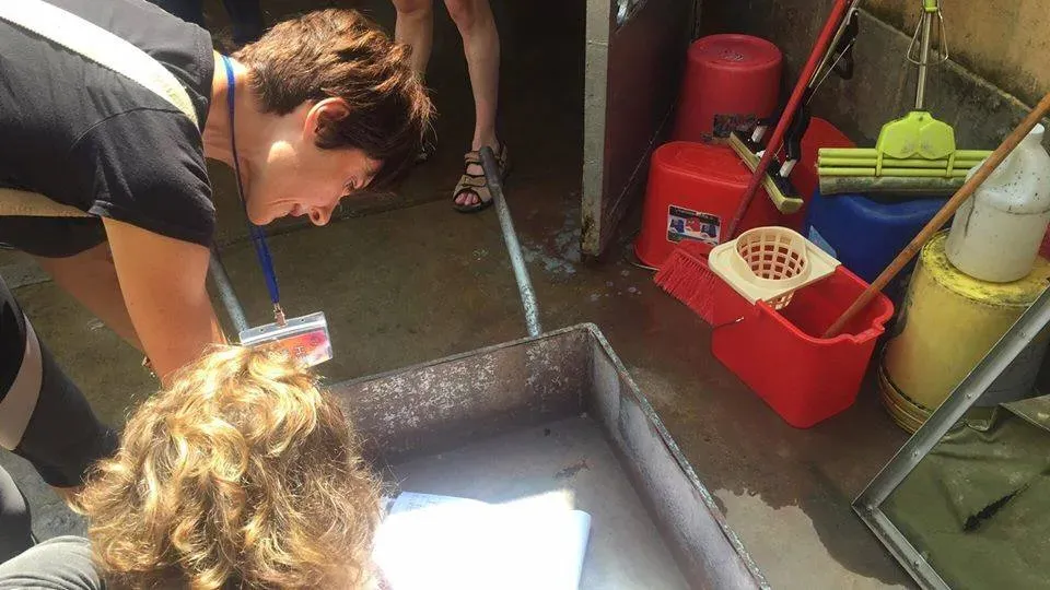 41691119 1895479480535898 9178211022673018880 n