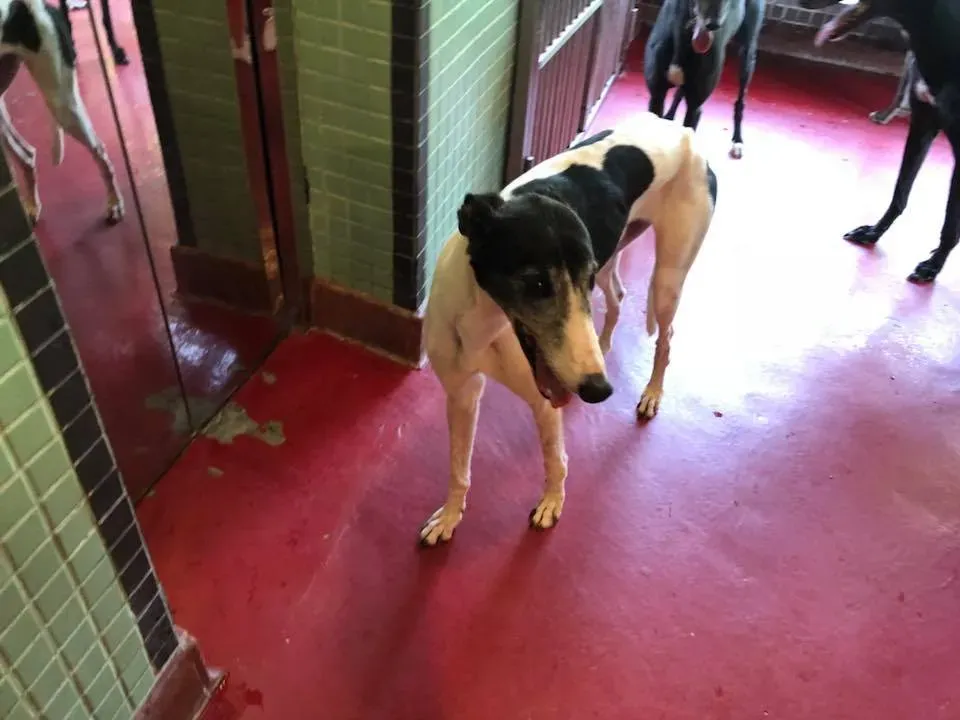 41691149 2192155524407282 8892767826893340672 n 1