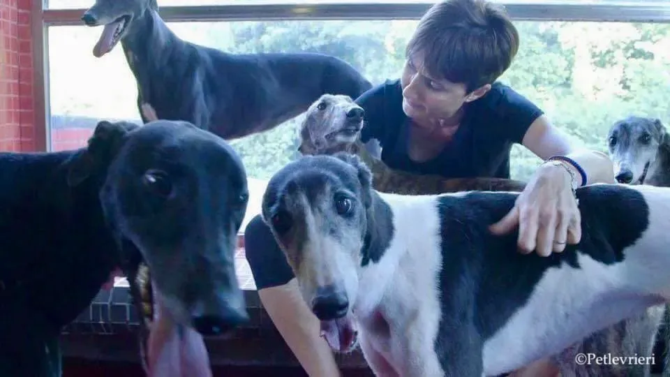 41697950 2192155534407281 6032181988415242240 n