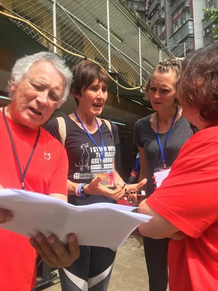 41698845 1895480533869126 6109359621556666368 n