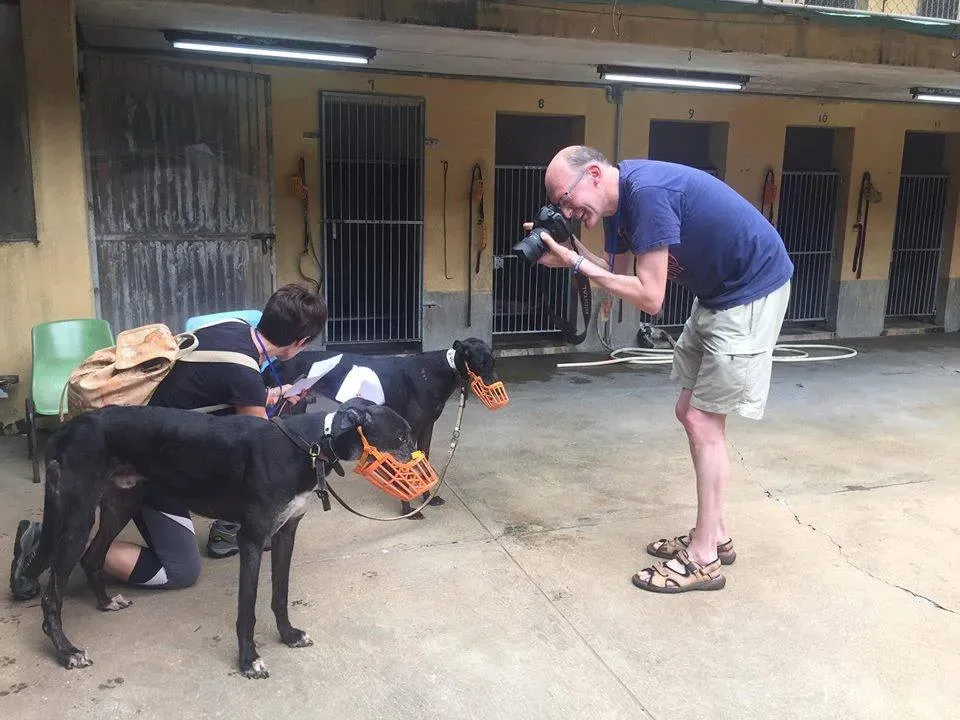 41699975 1895480103869169 191000339569180672 n