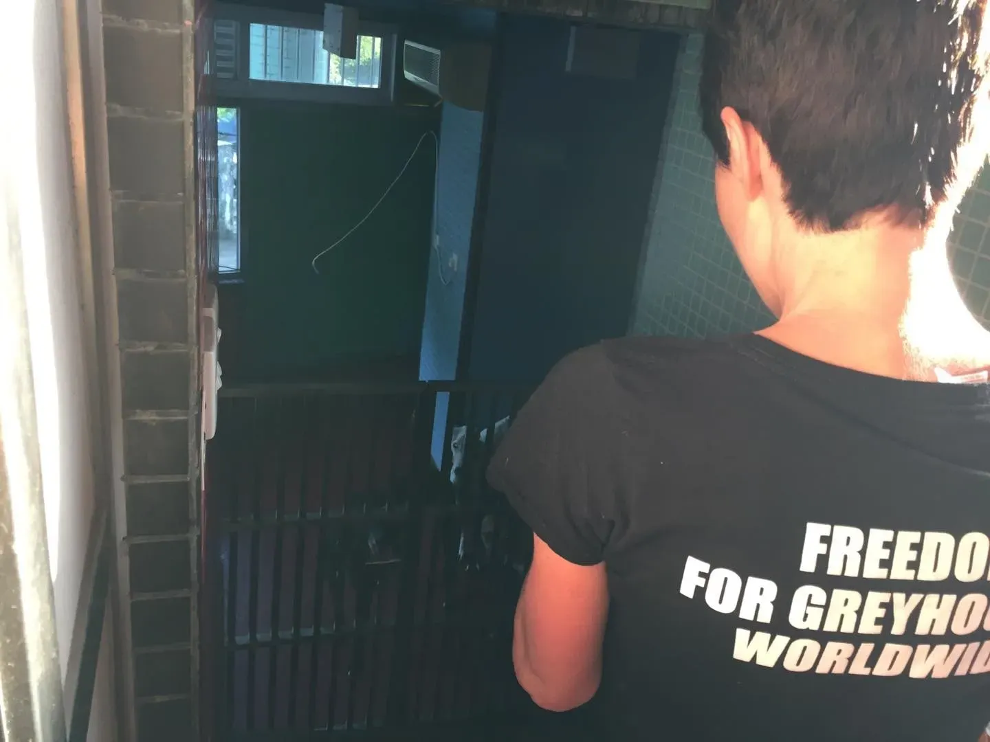 41700028 2192004391089062 8650240906407968768 o 1