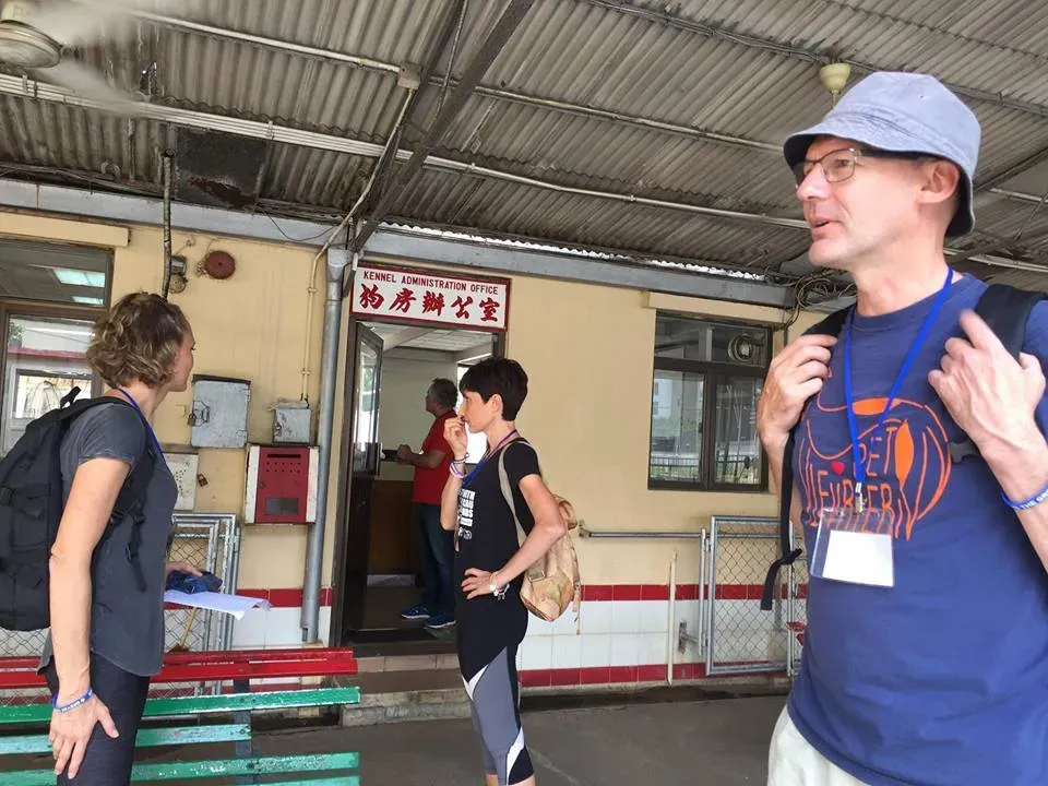 41700050 1895479073869272 825208254312218624 n