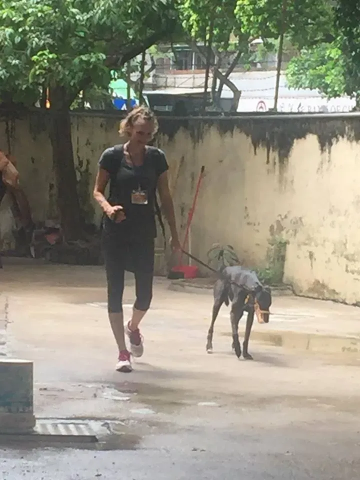 41703339 1895479360535910 248075700404224000 n