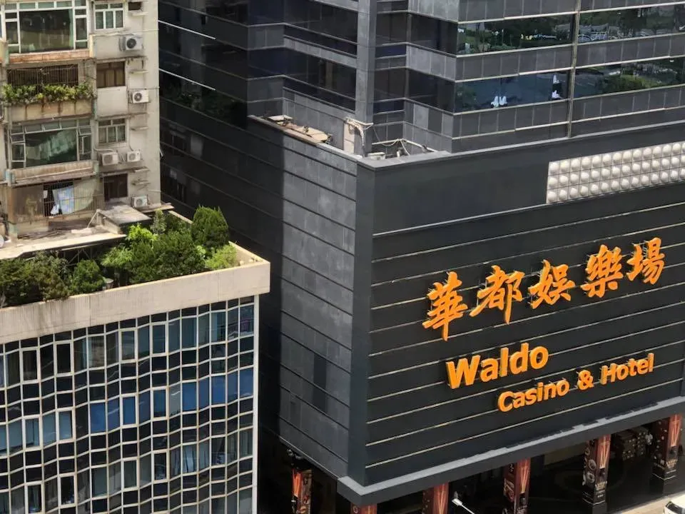 41703346 1894119107338602 1446847127652139008 n