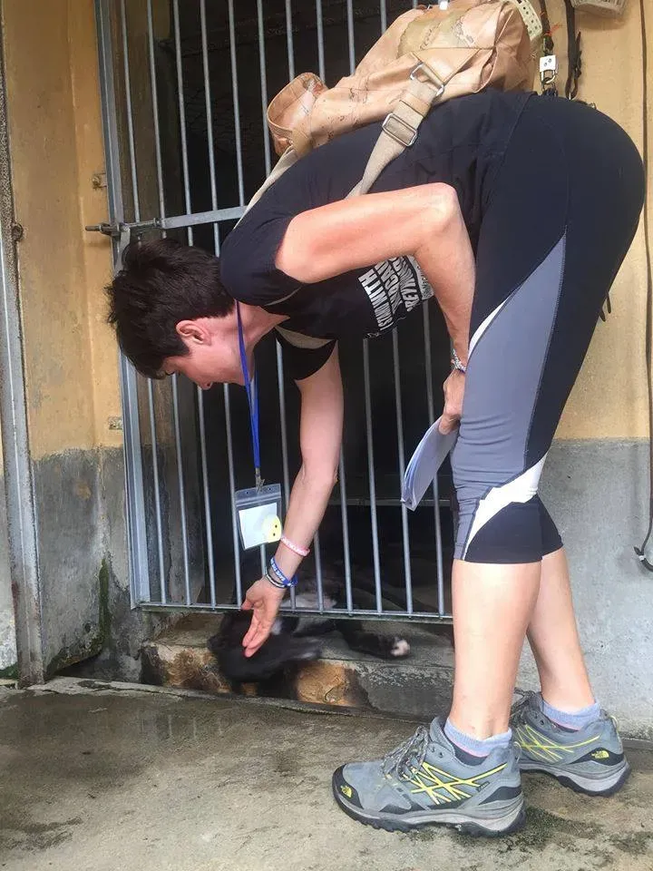 41703361 1895480150535831 5041228957580525568 n