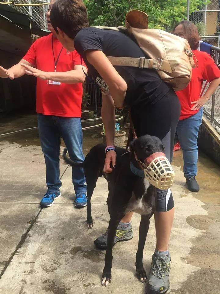 41705165 1895478897202623 3070784621730856960 n