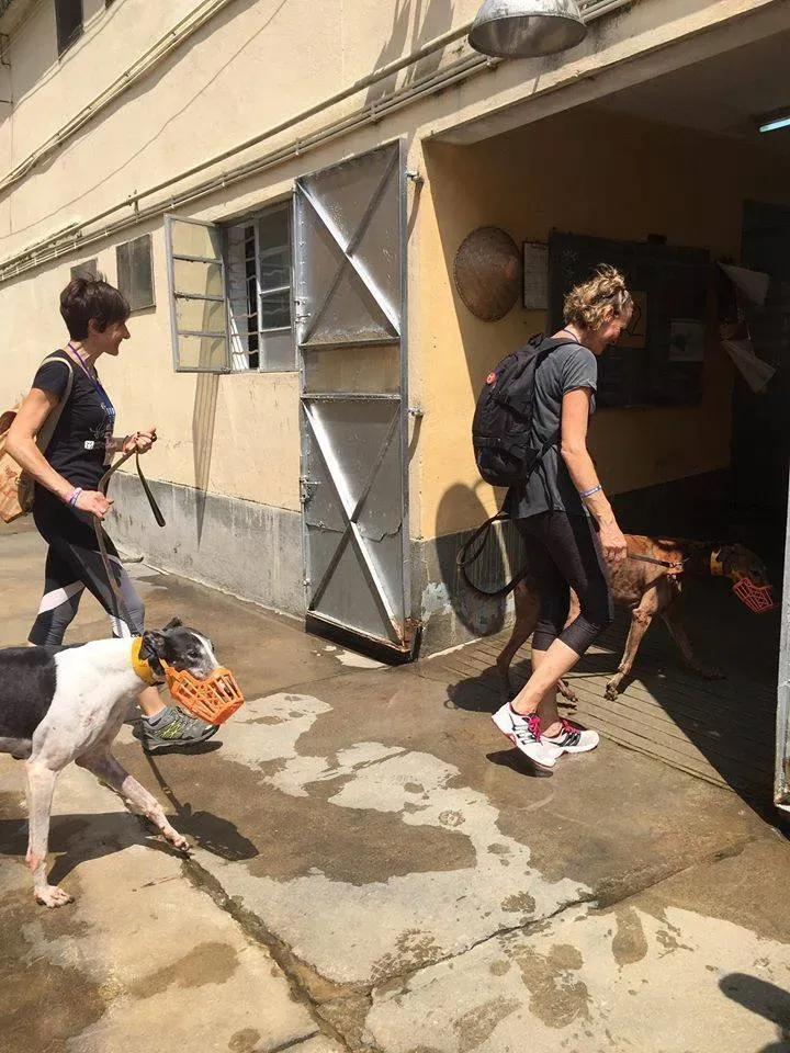 41705699 1895479953869184 2476371563260149760 n