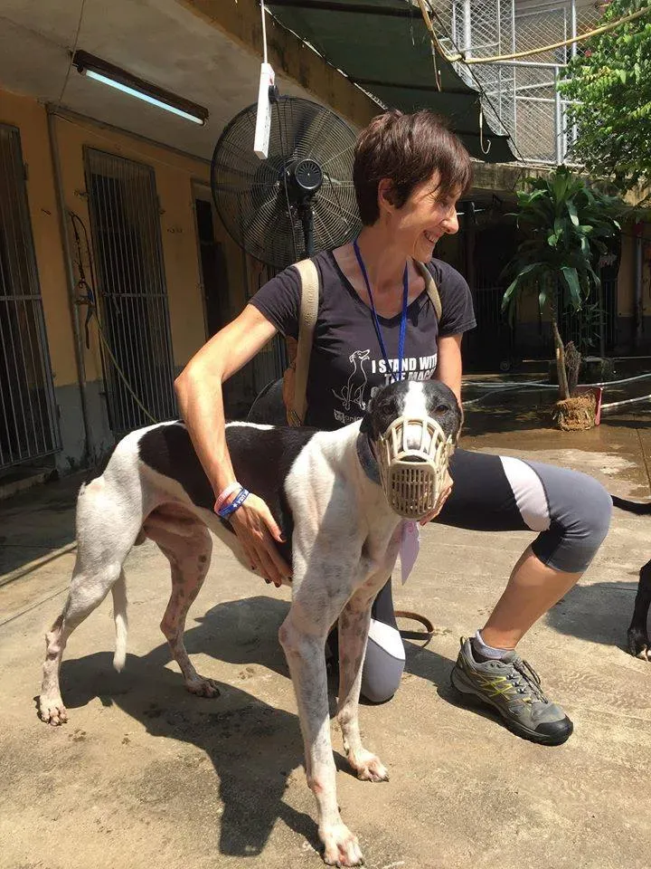 41706146 1895480247202488 6424444744583086080 n