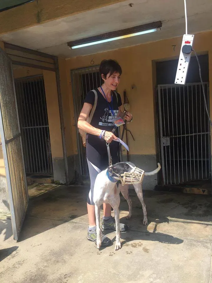 41716452 1895479810535865 8827720615914897408 n