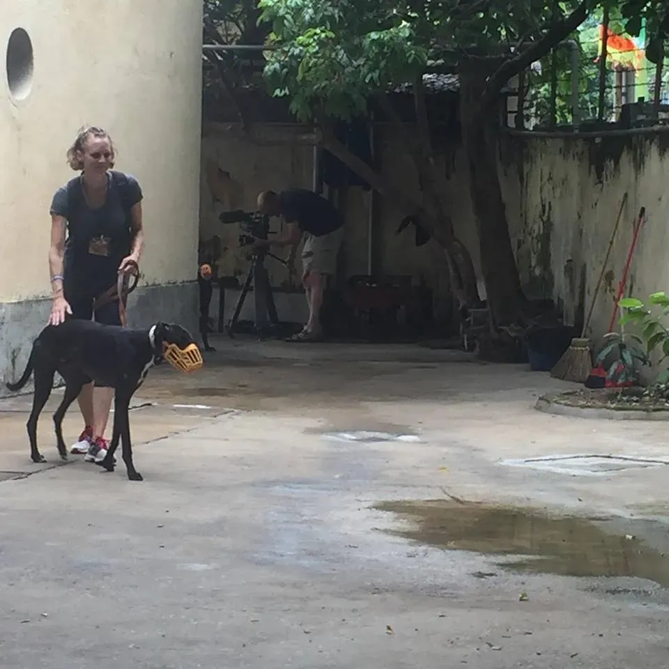 41719248 1895478917202621 6596510647813406720 n