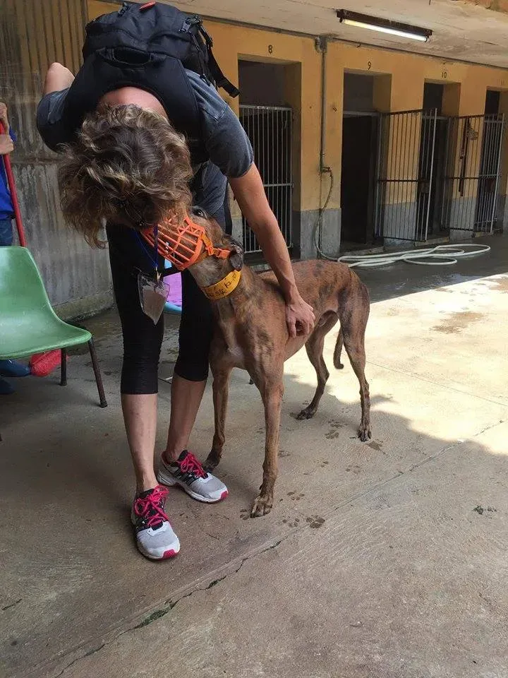 41719346 1895480293869150 182421494582738944 n