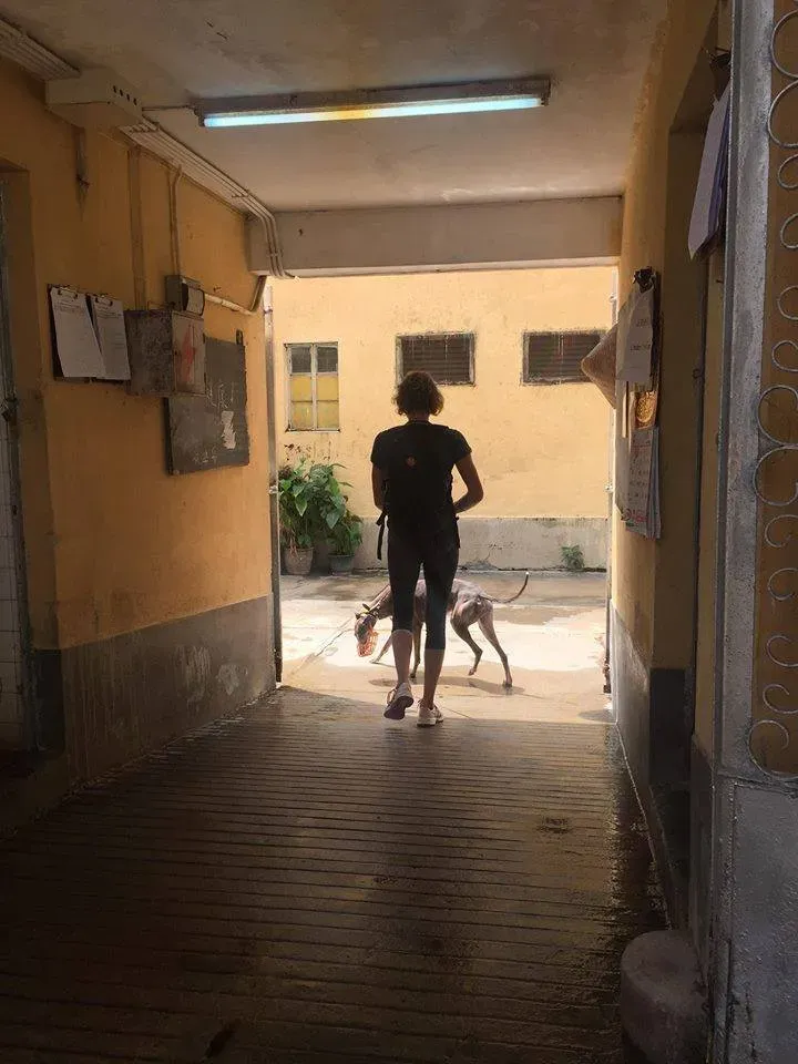 41721310 1895479157202597 5337435650641625088 n