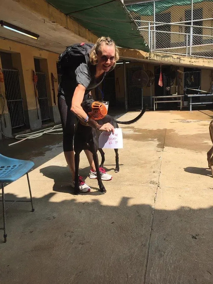 41721472 1895479927202520 4655200806004326400 n