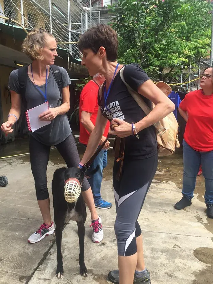 41728229 1895480463869133 4695262203652079616 n