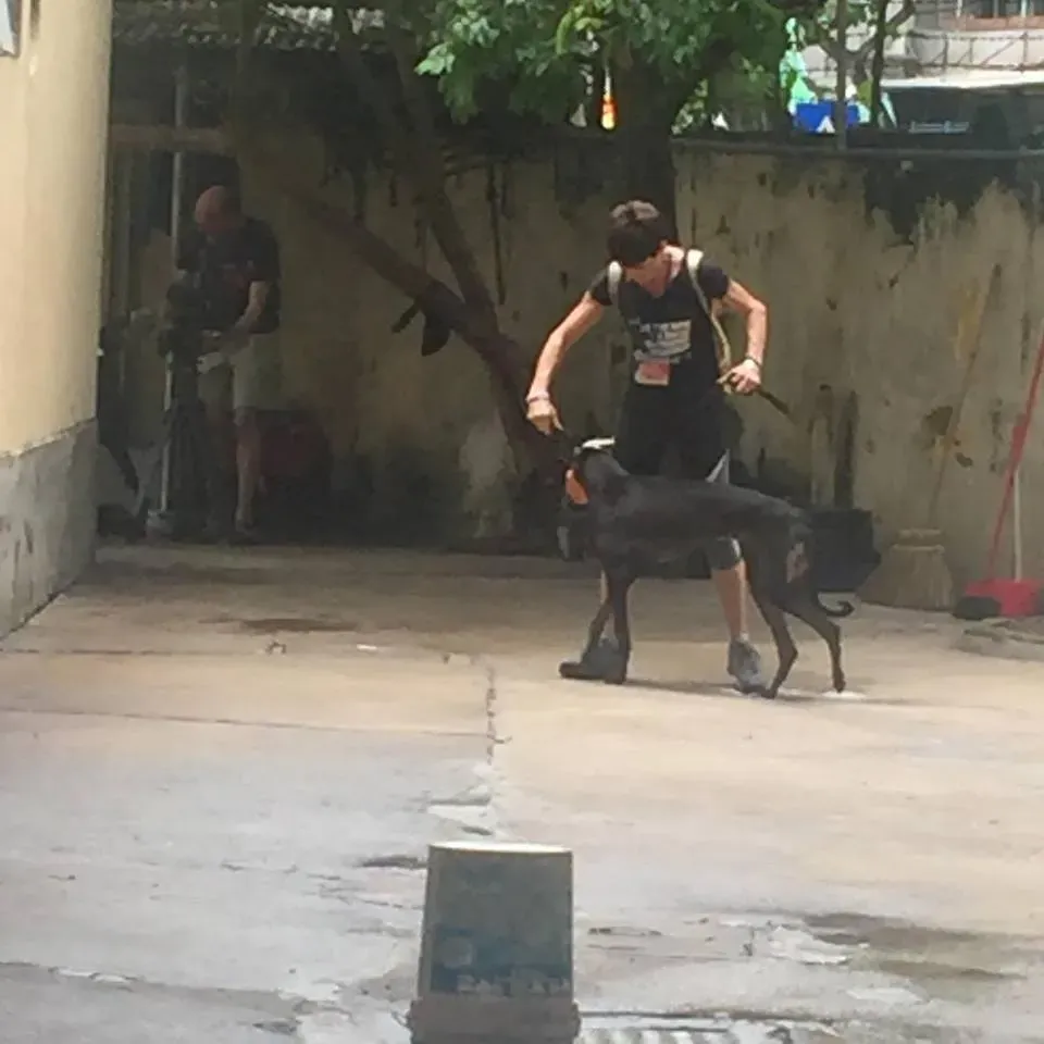 41731744 1895478870535959 8600483207772635136 n