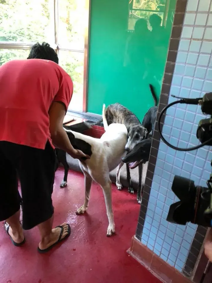 41734936 1894118994005280 2830514637840056320 n