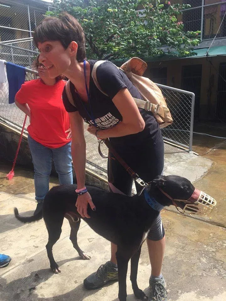 41738461 1895480440535802 2808525972947599360 n