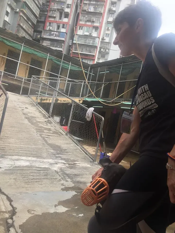 41739394 1895479203869259 595090503662305280 n