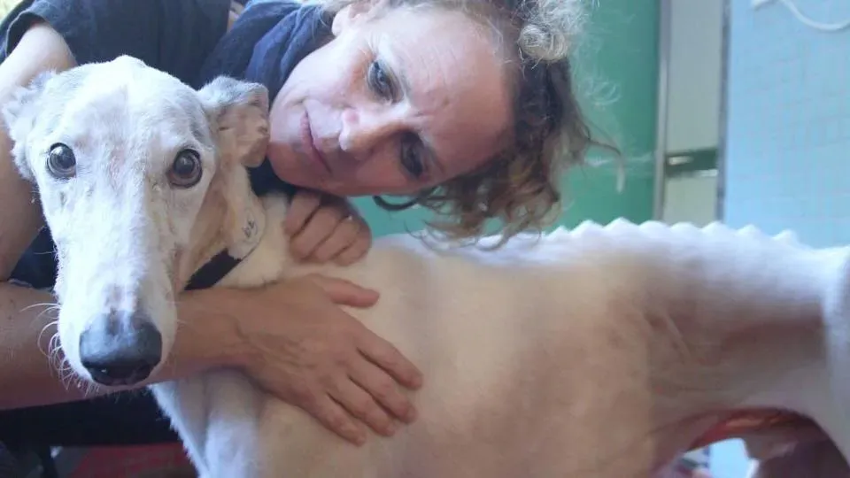 41747596 2192155537740614 294639893286486016 n 1