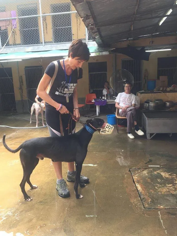 41748600 1895479010535945 5601834833815797760 n