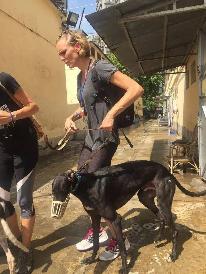 41755174 1895480157202497 2102600964878893056 n