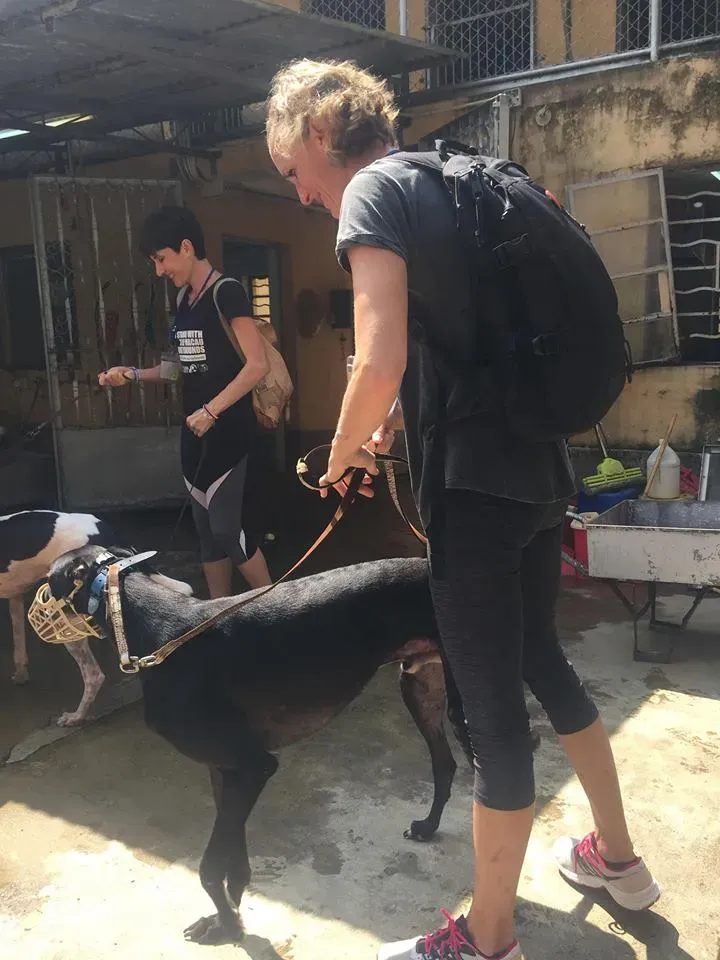 41761483 1895478987202614 4704290955052711936 n