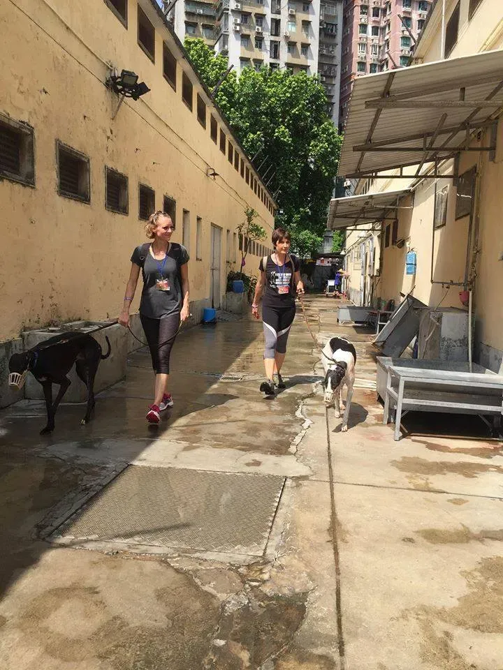 41762050 1895480560535790 342118819713515520 n