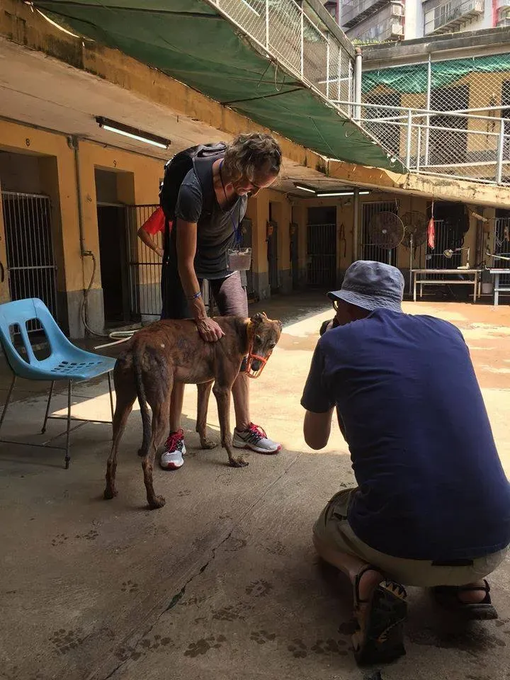 41765503 1895479677202545 2888776053893890048 n