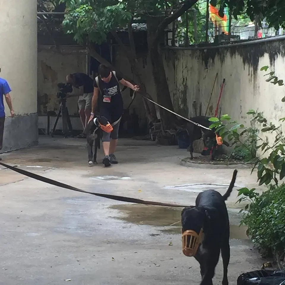 41782043 1895479580535888 5672040141602947072 n