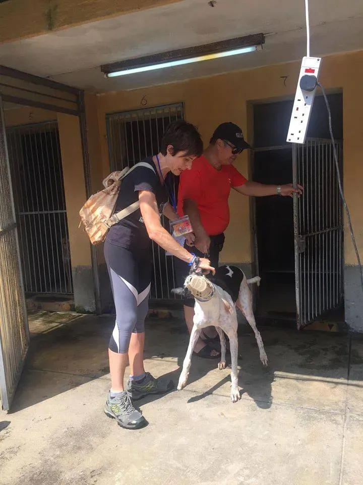 41787107 1895479517202561 7057051418208763904 n