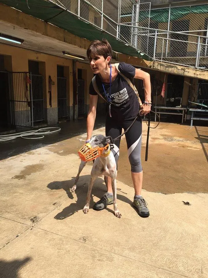 41794919 1895479460535900 1359206623465177088 n