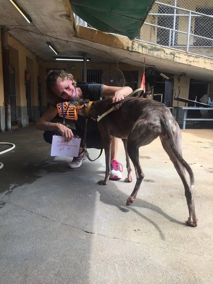 41794921 1895479083869271 9220957079823450112 n