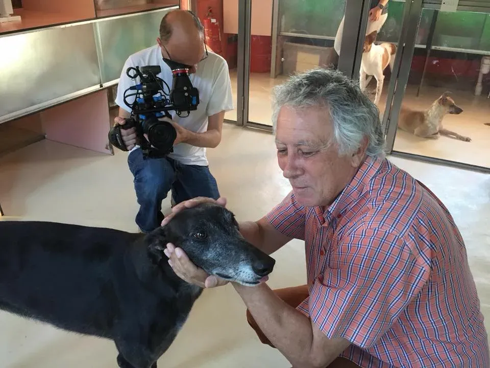 41797198 1894118674005312 3351236743390035968 n