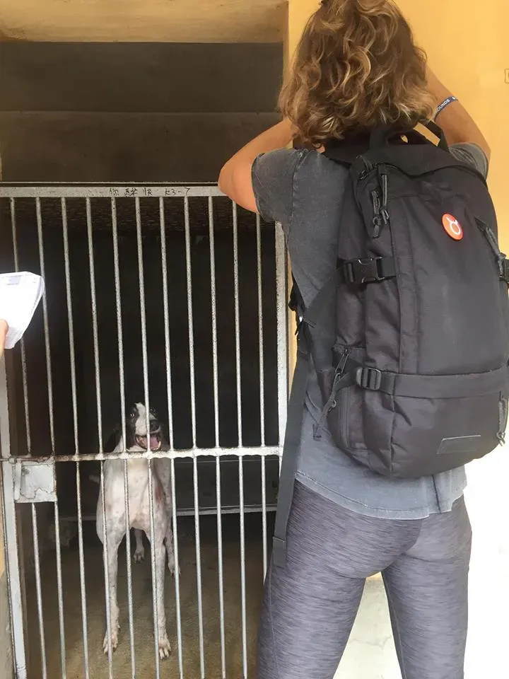 41799593 1895480407202472 4735293523643858944 n